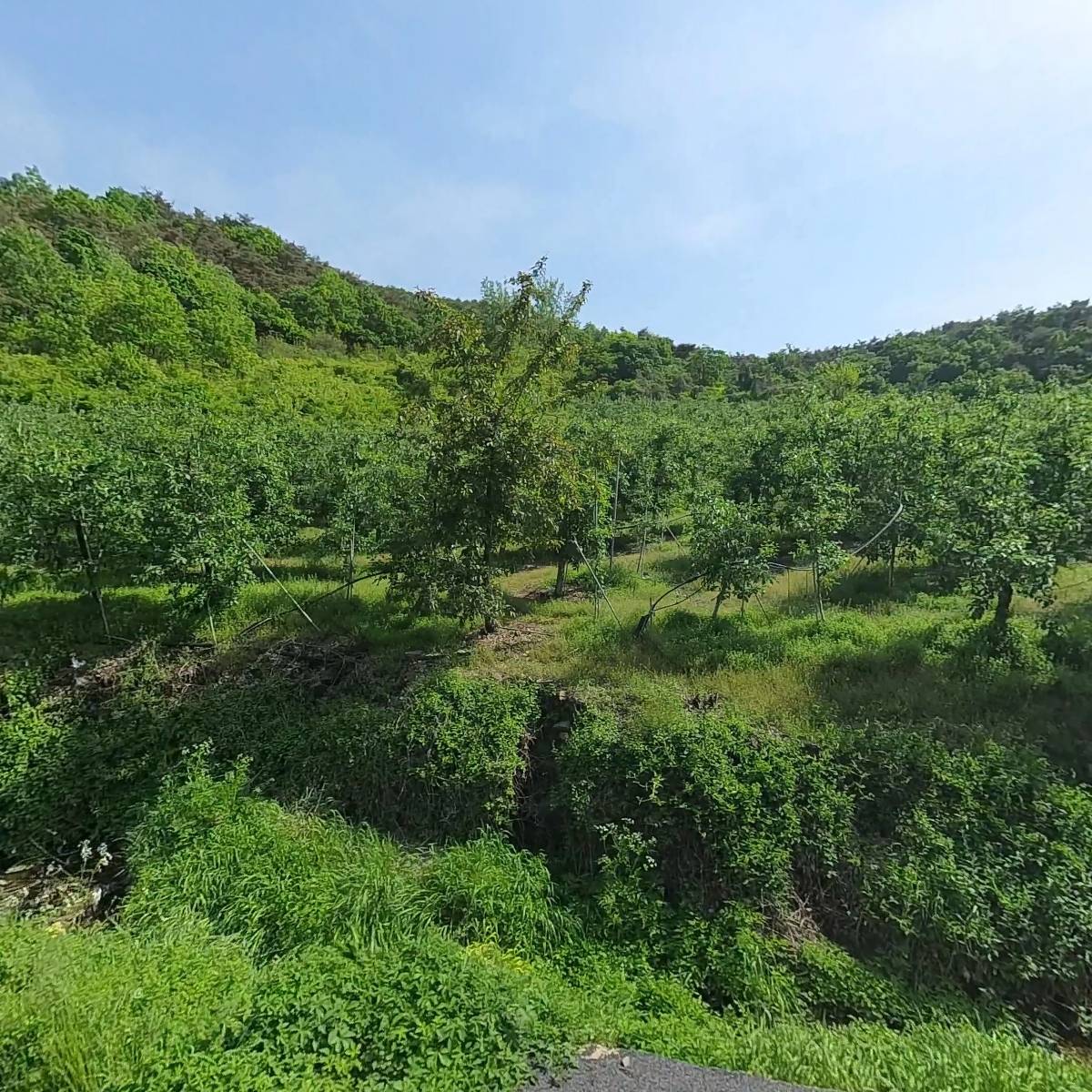 케이앤씨(Knc)뉴스채널