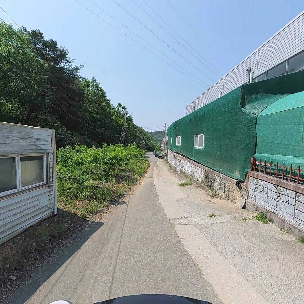 참푸른_2