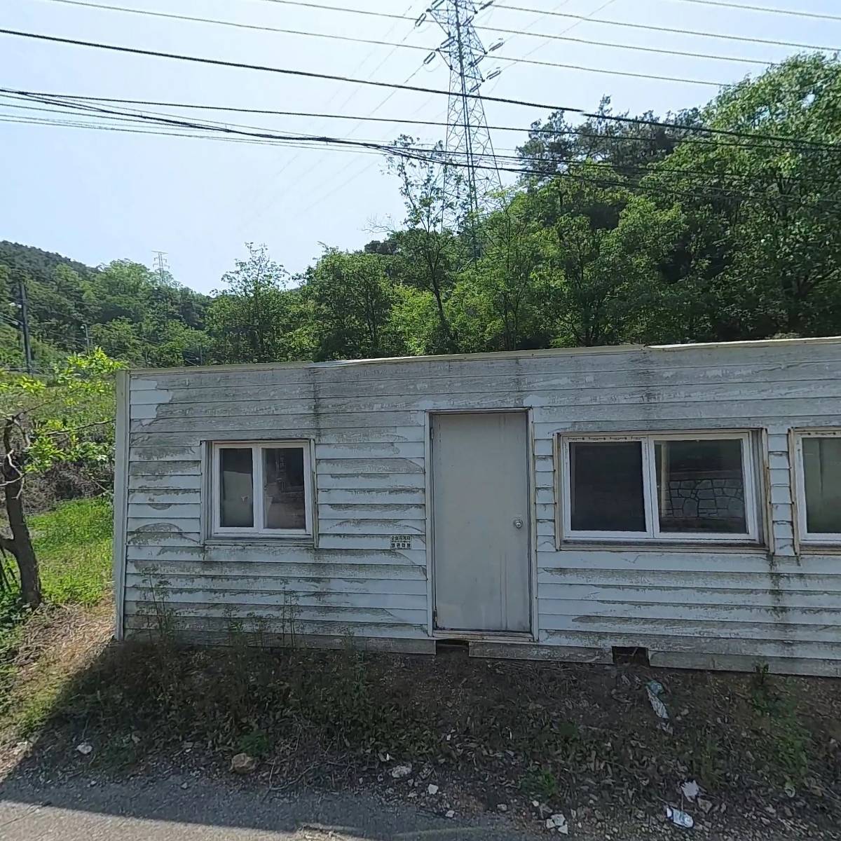 참푸른