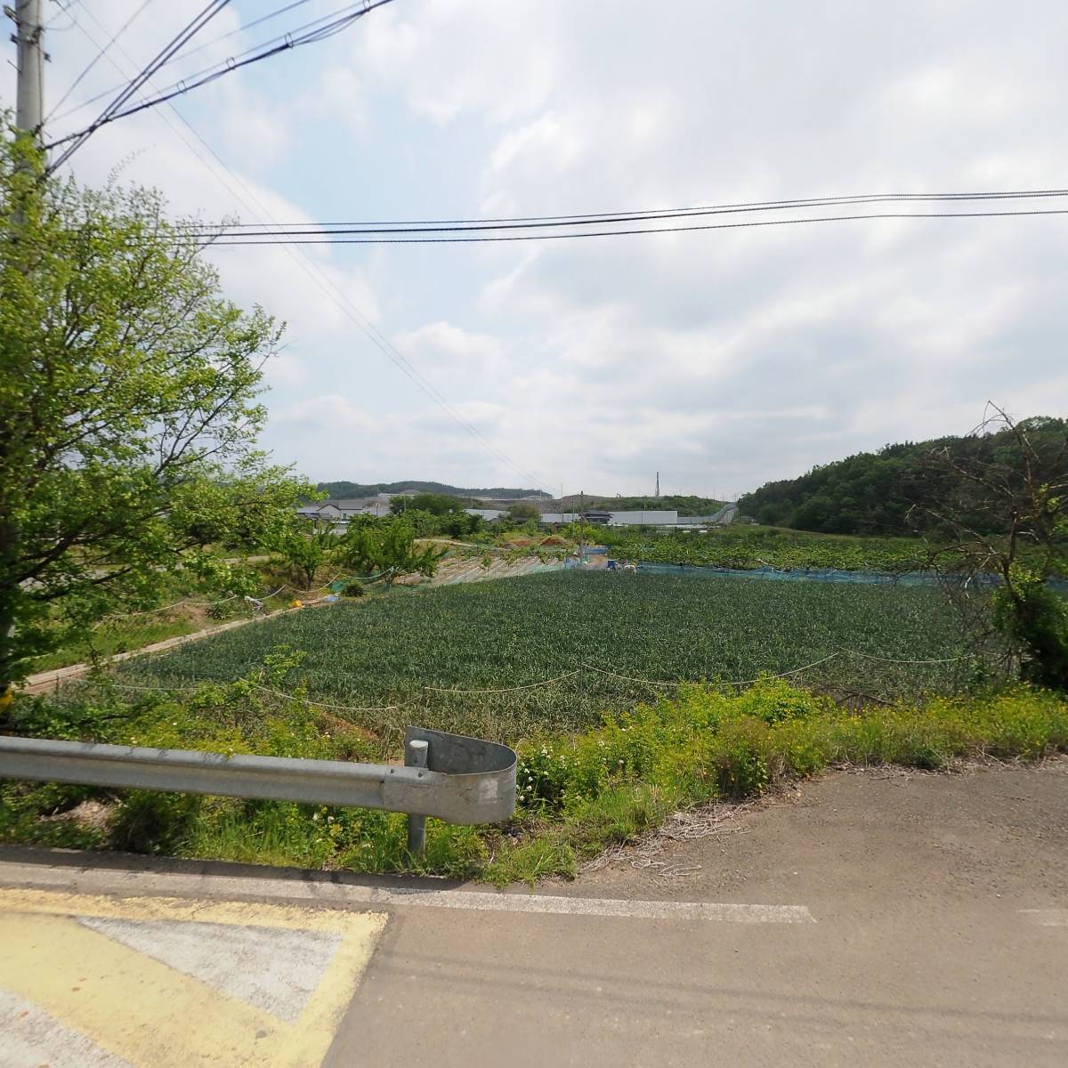 경북농축산영농조합(김형식)_3