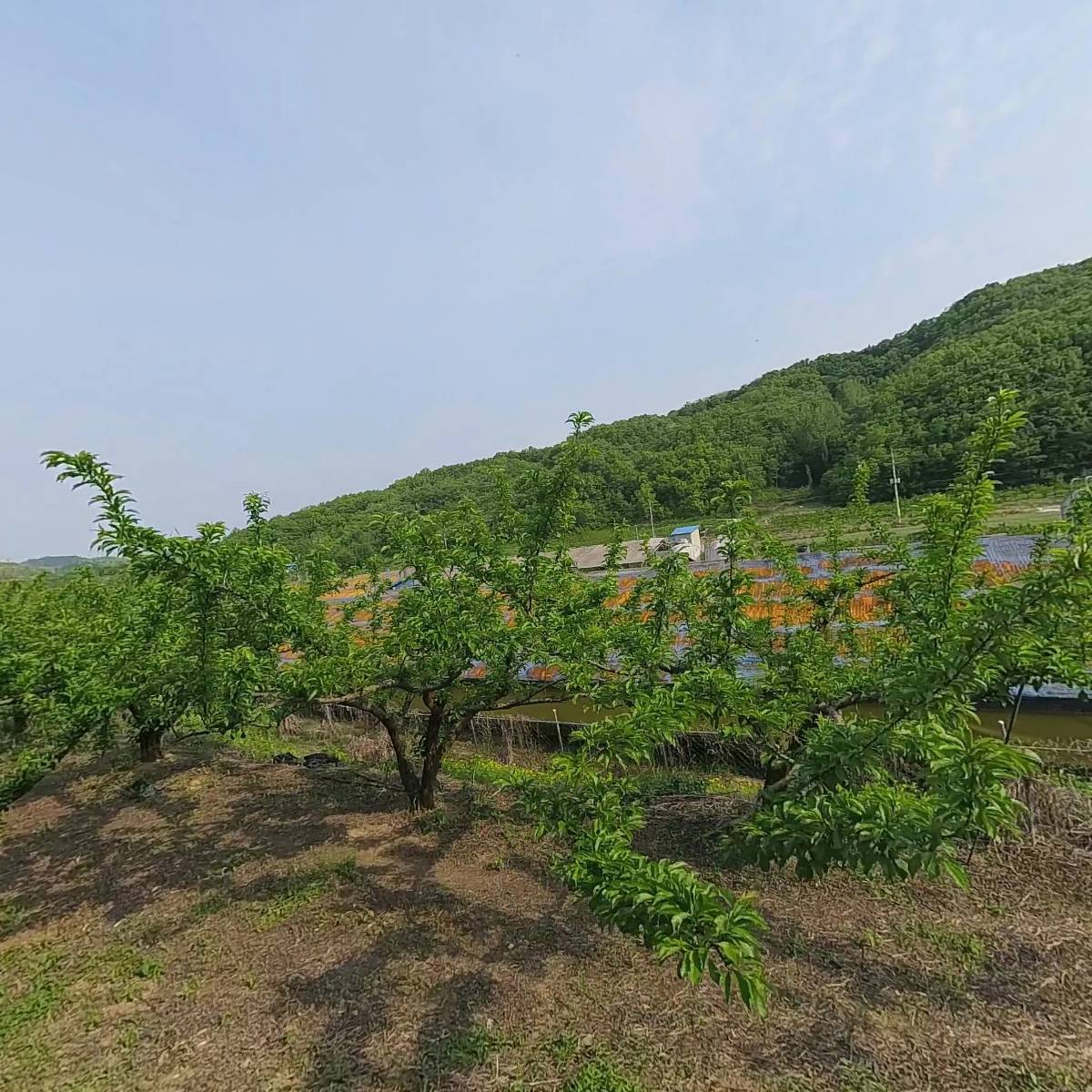 도옥농장