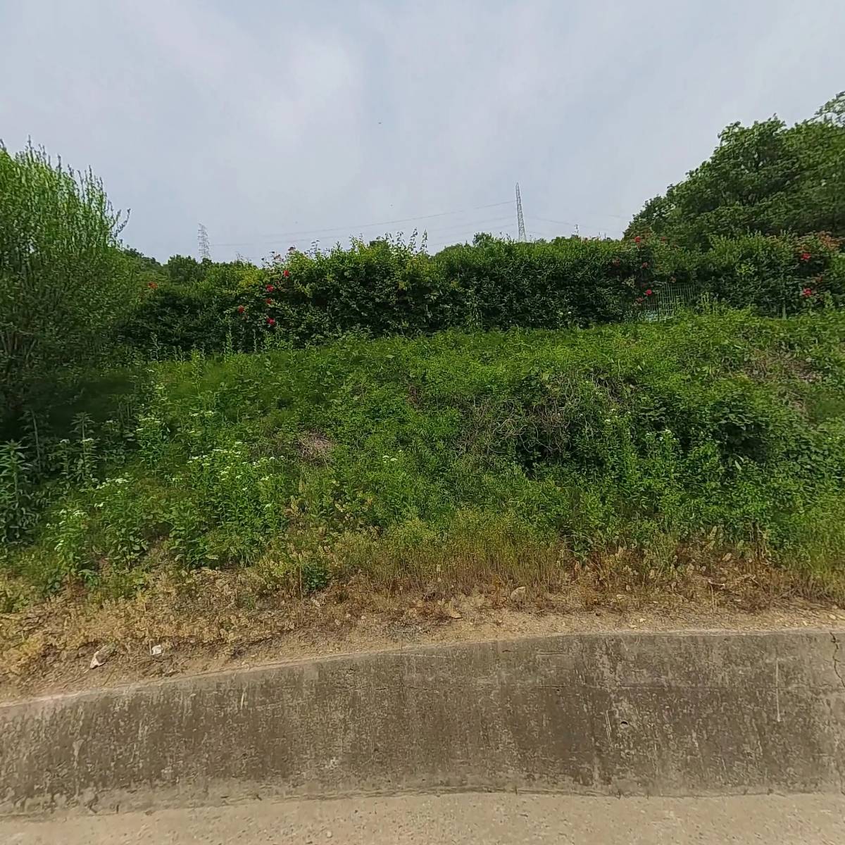 칠곡시니어클럽