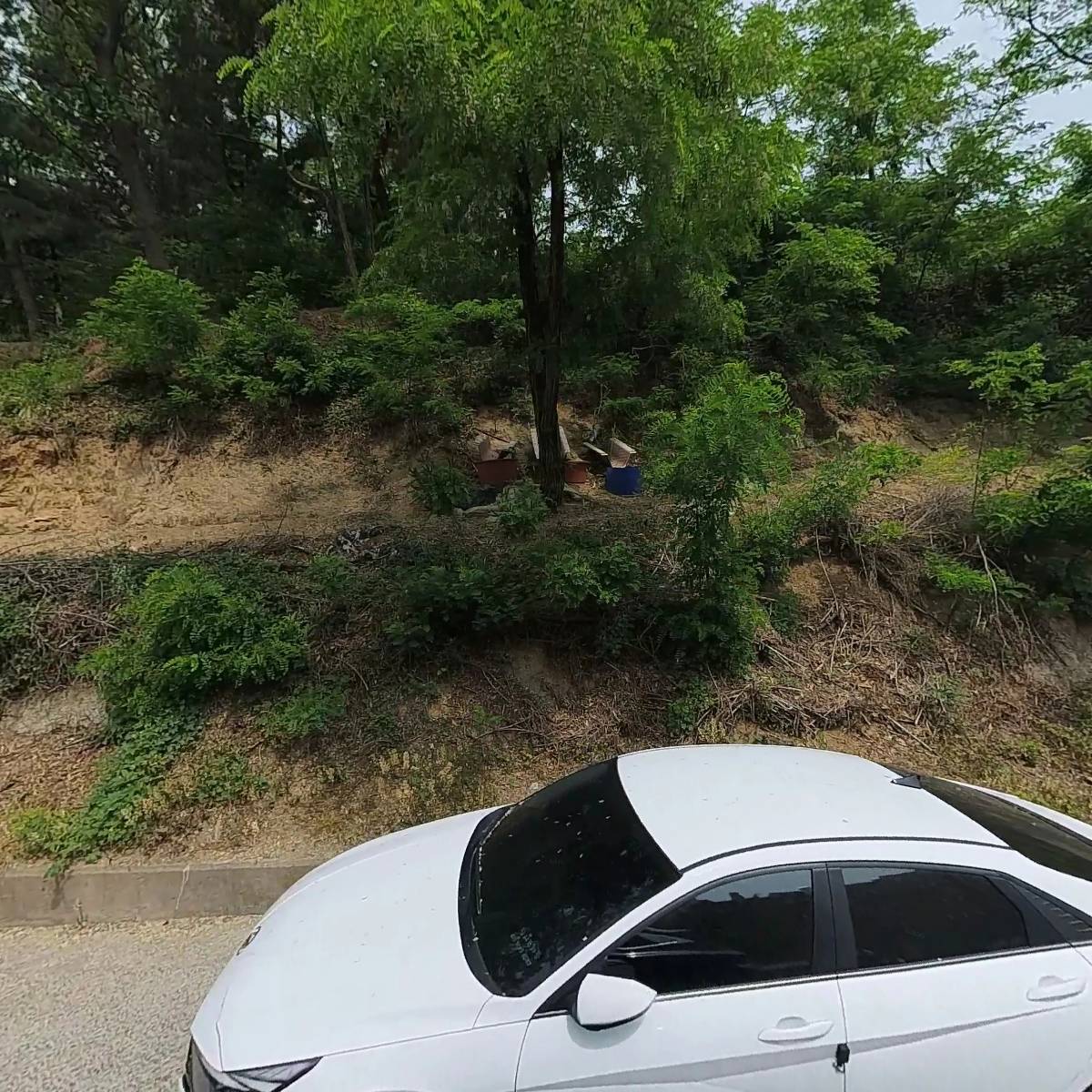 인평초등학교