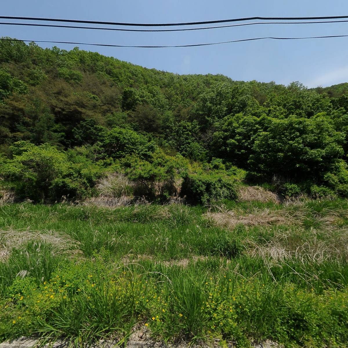 (주)한돈농업회사법인(군위지점)