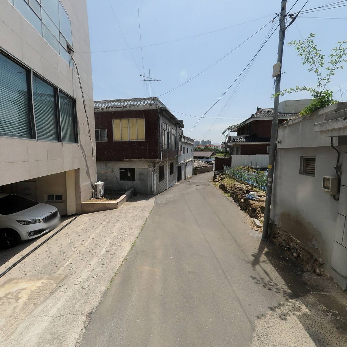 생명사랑실천영천동물병원_2