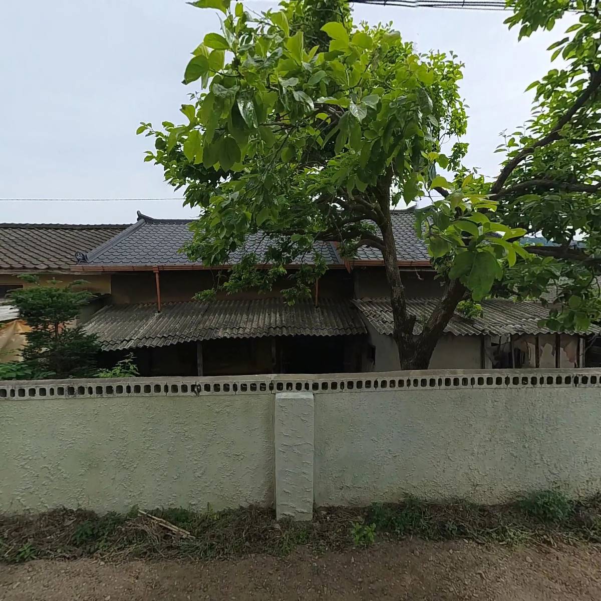풍기인삼생산자판매조합_3