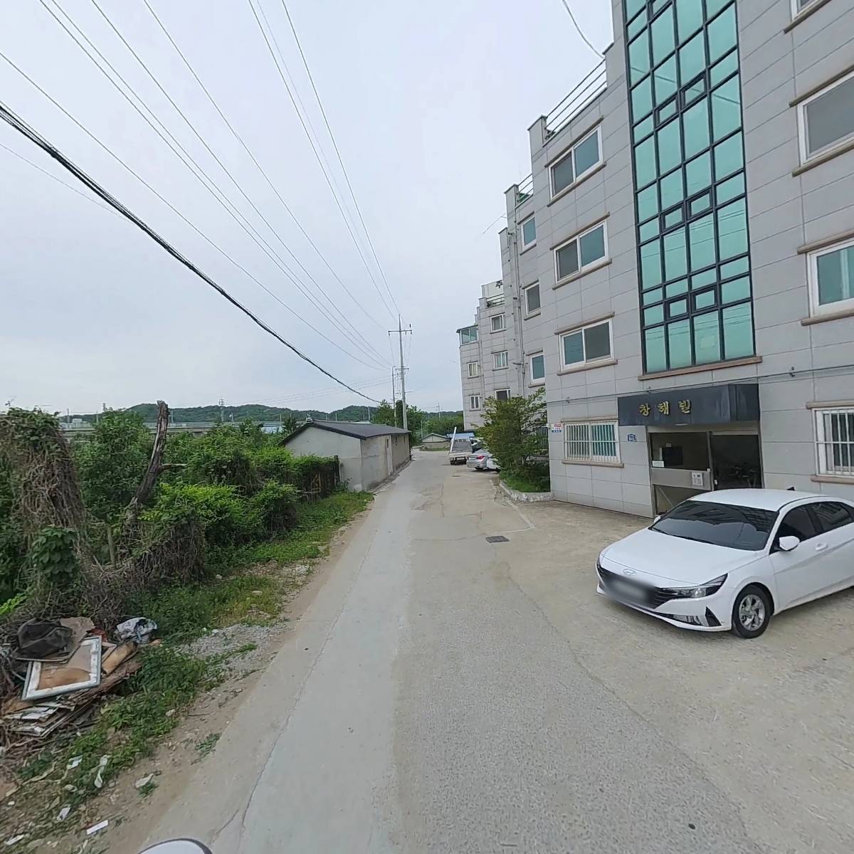 백년청우_2