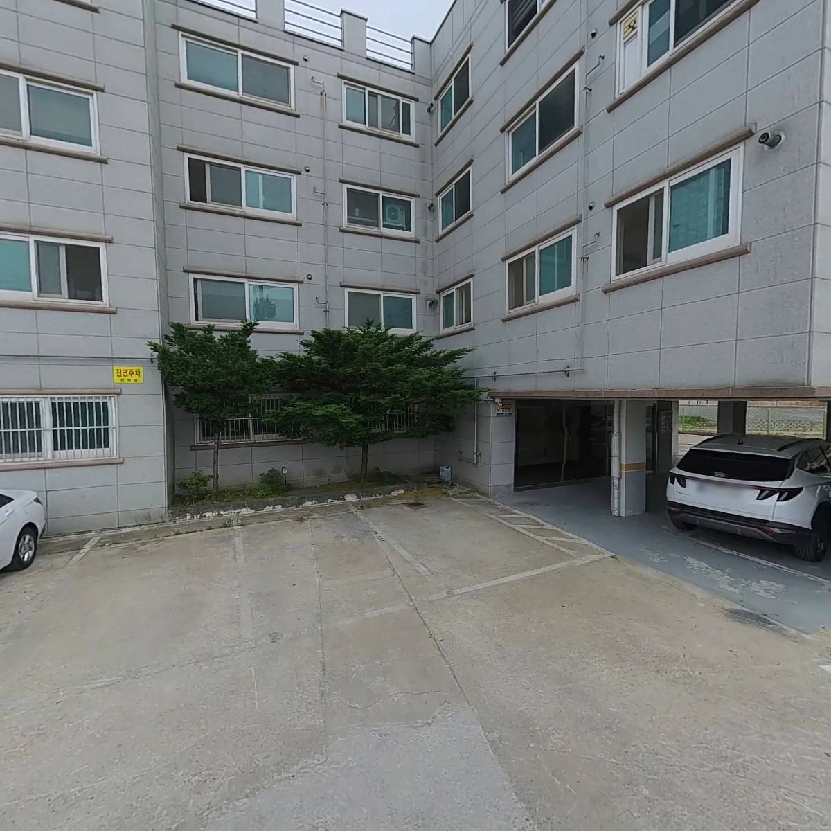 백년청우_3