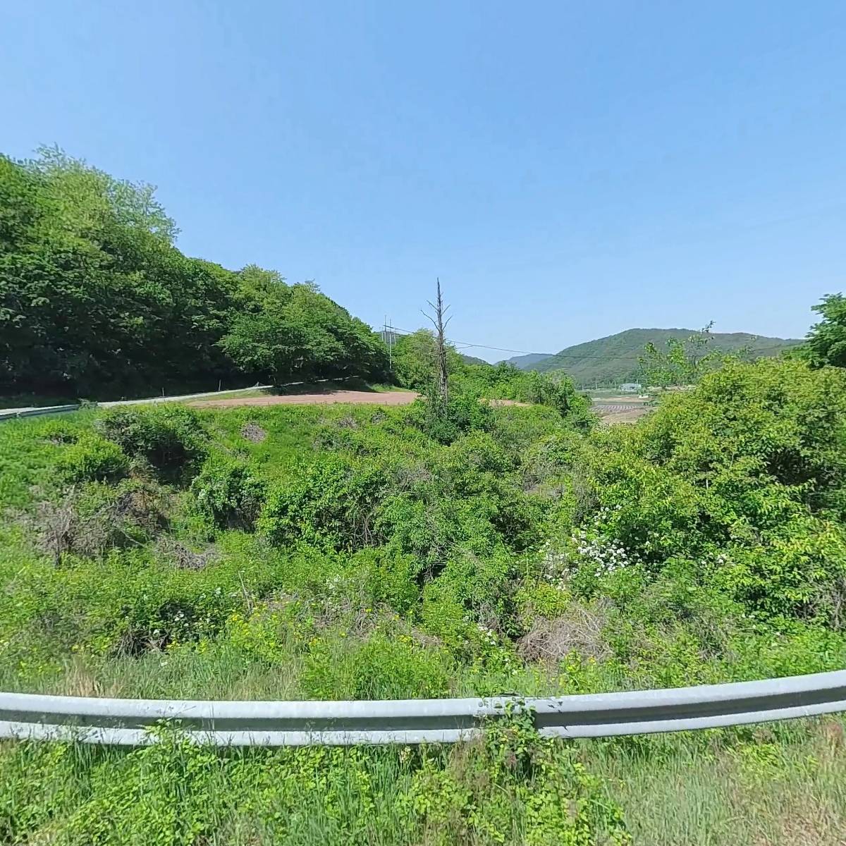 탁이네청송사과