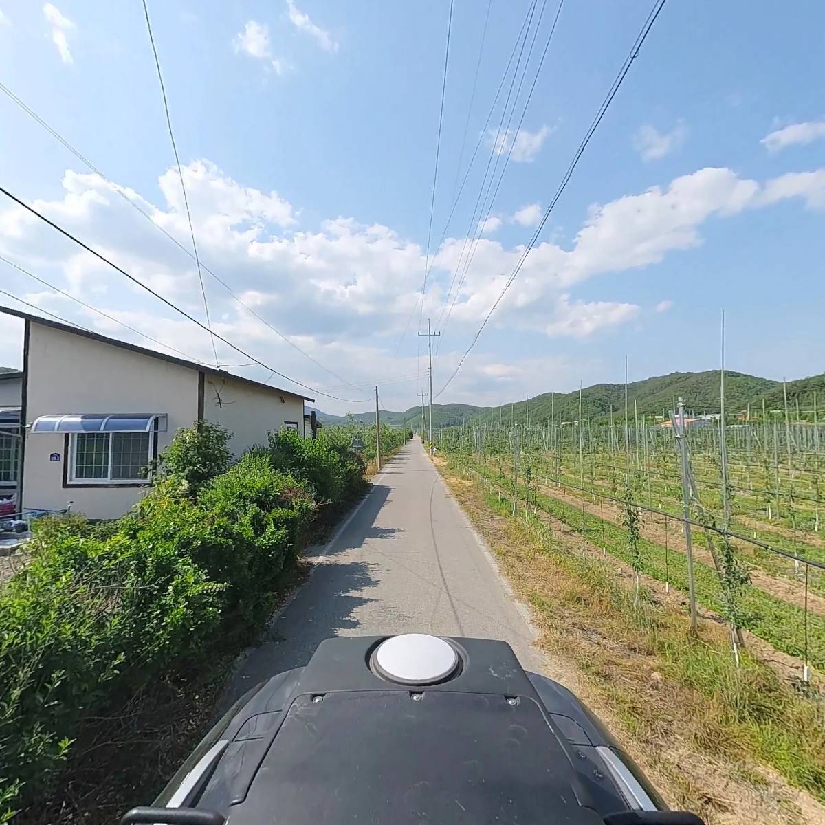 채이네농원_2