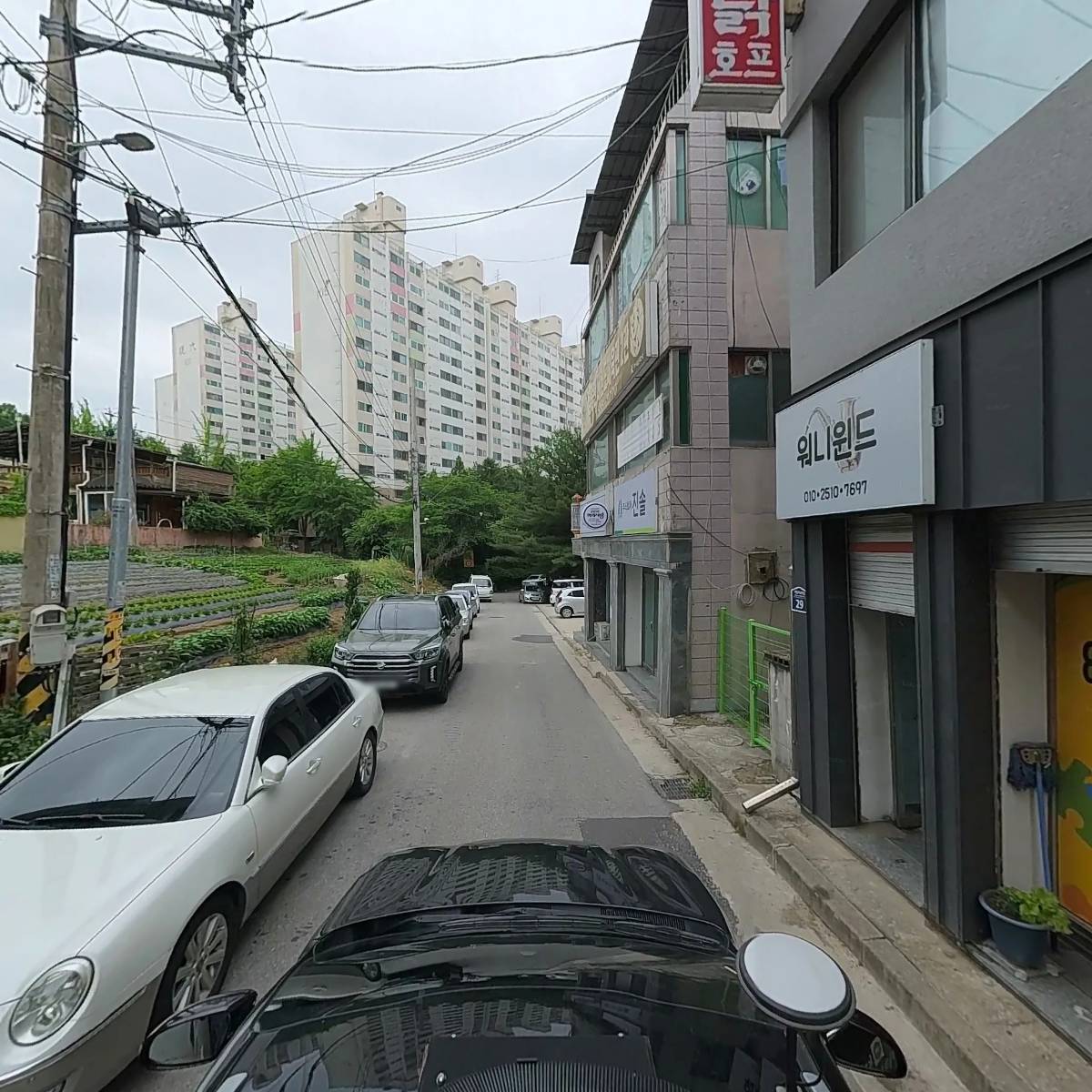 현대한우_4