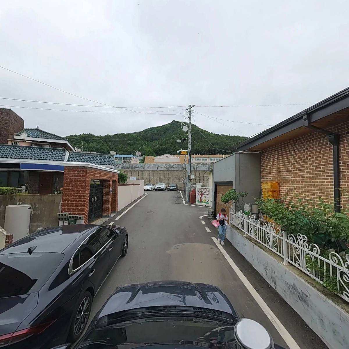 농업회사법인주식회사 청송달기약수닭백숙_4