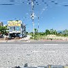 레이지앤츠_3