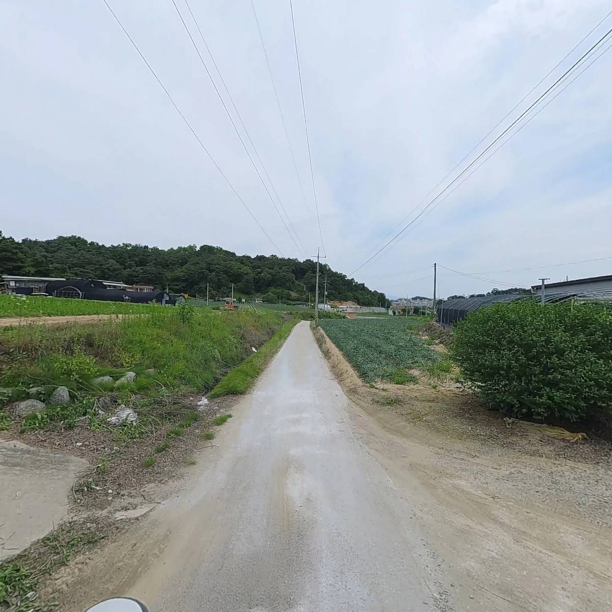 서영농산_2
