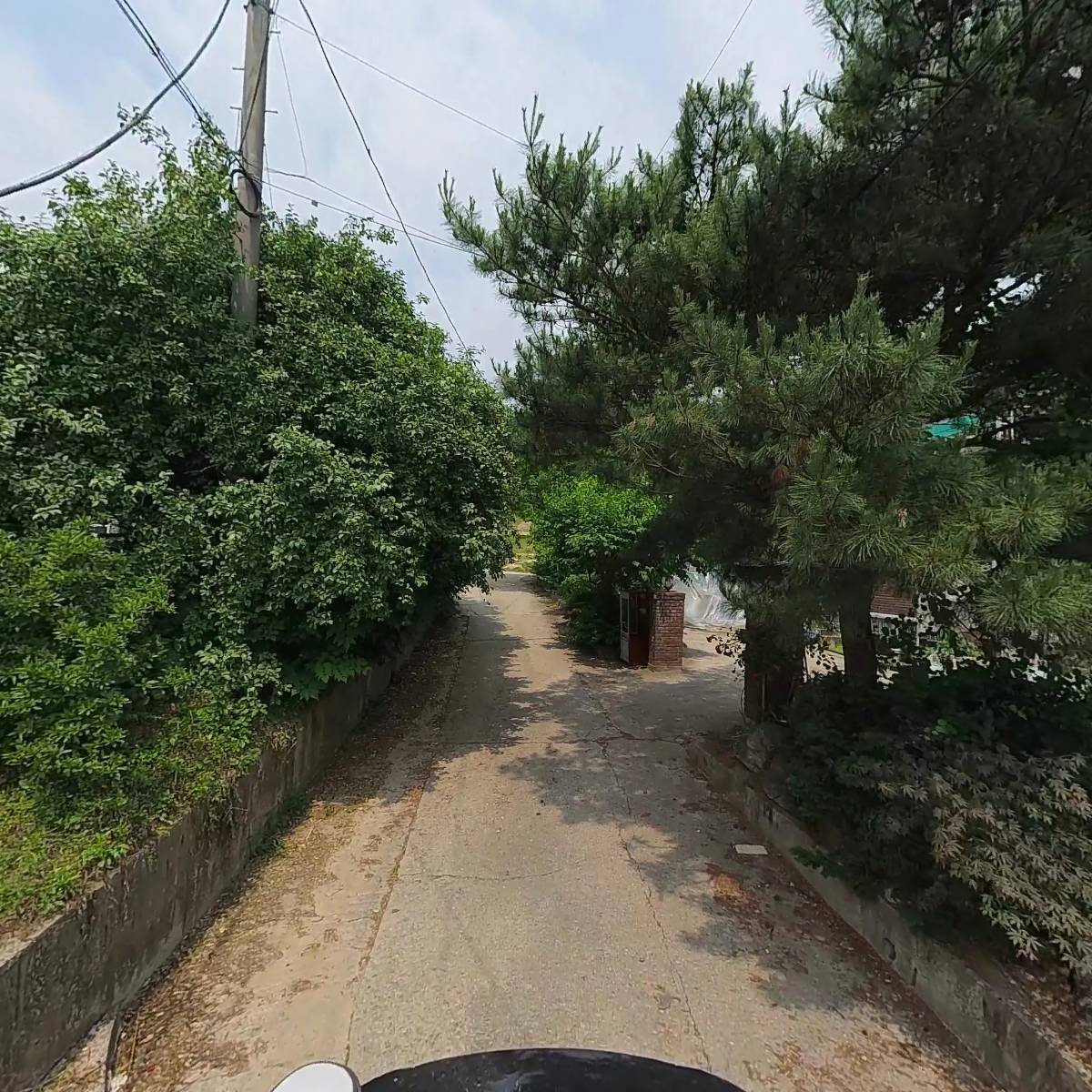 고향식품_2