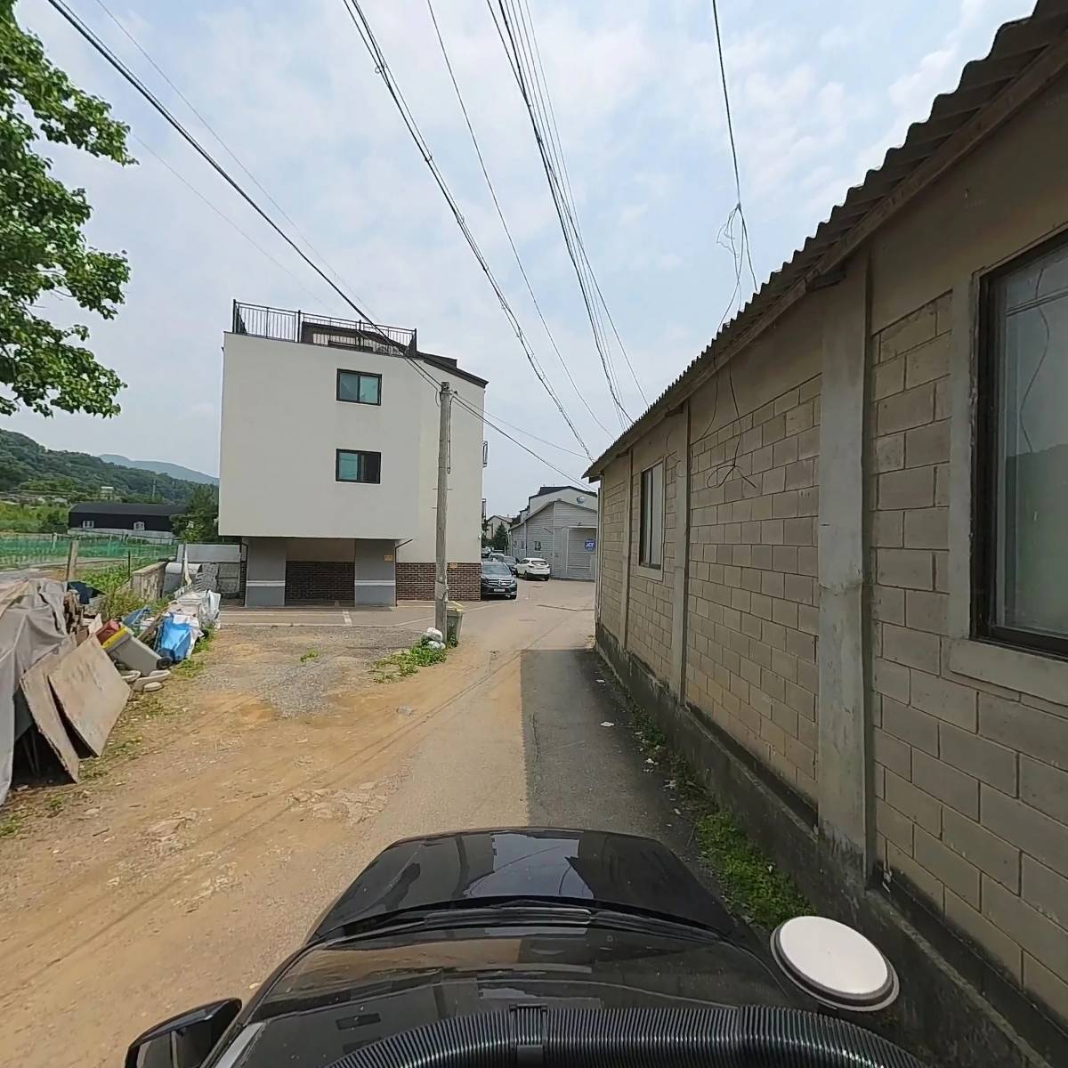 버지니아 무역_4