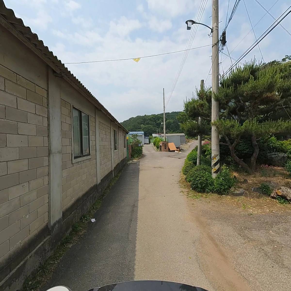 버지니아 무역_2