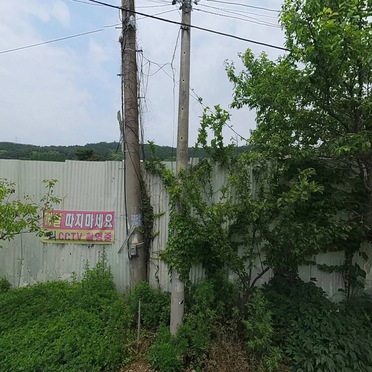 국제분양업대행_3