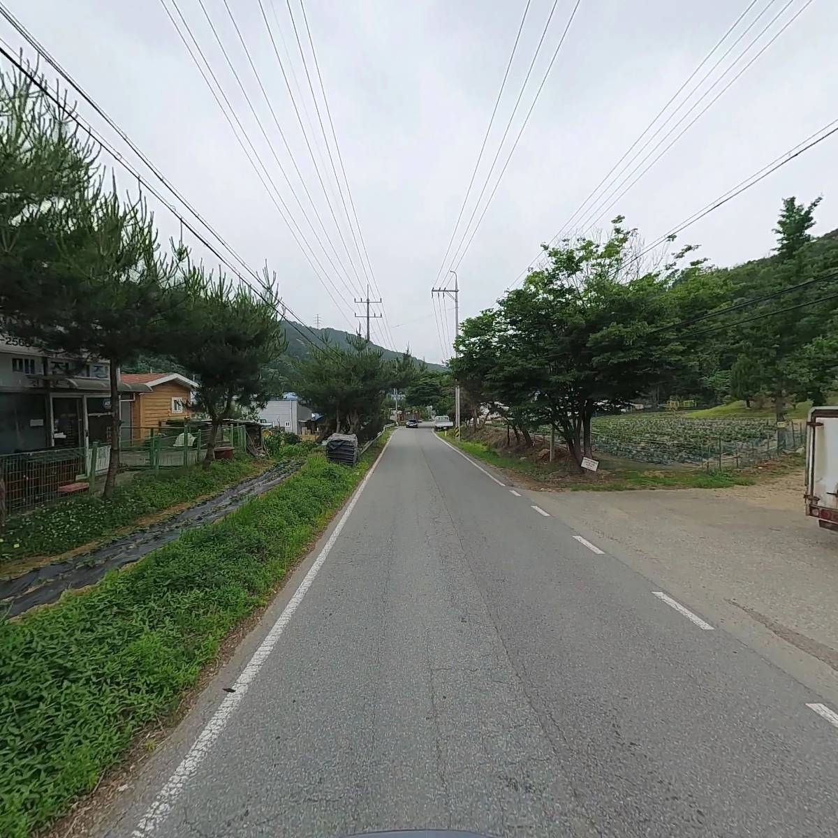 디엔시펫_2