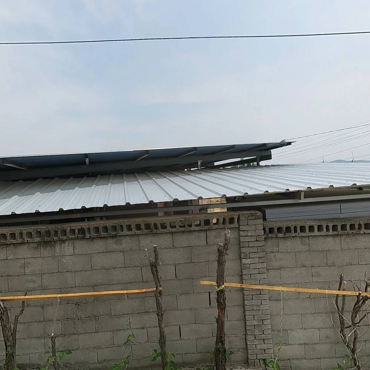 꿀단지
