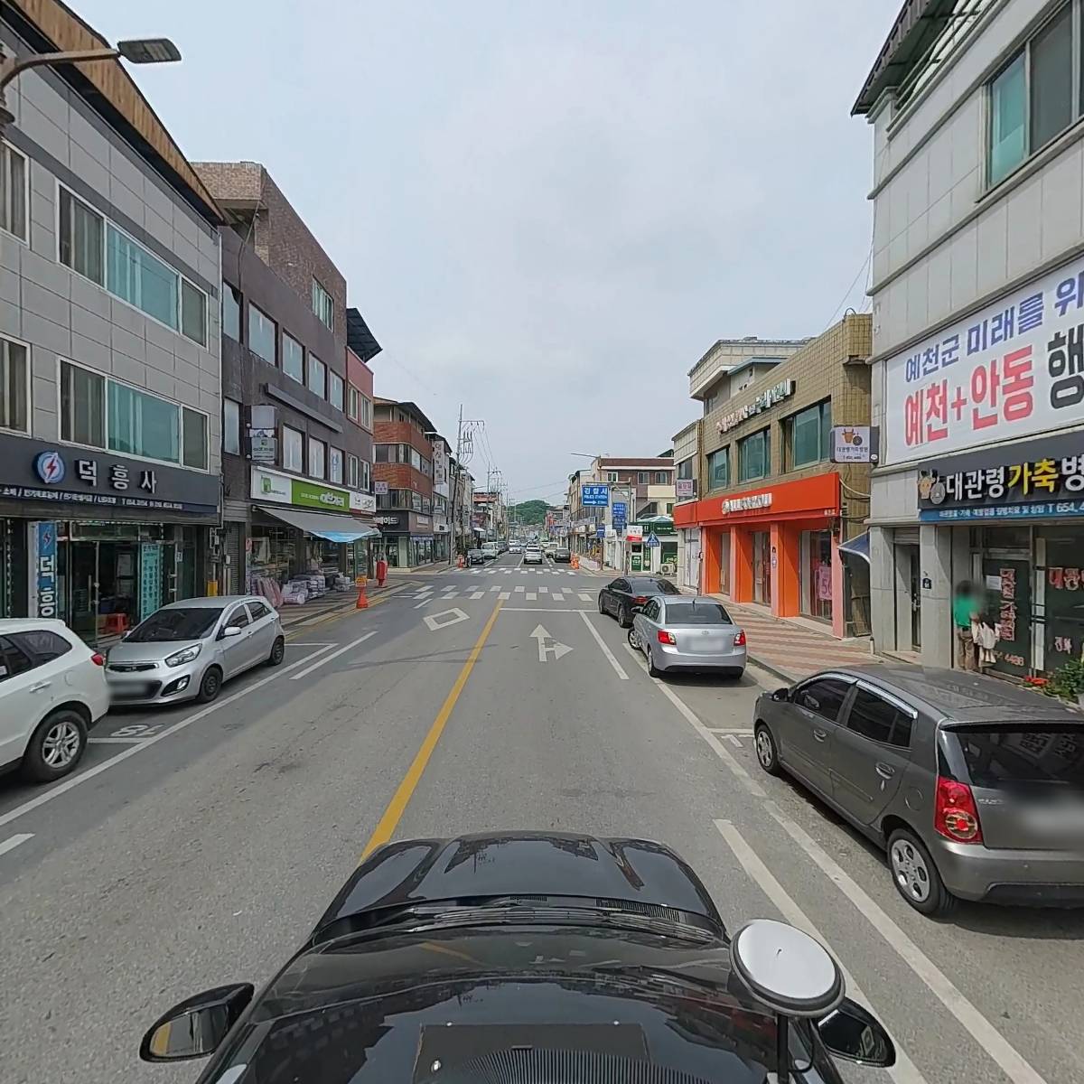 대관령동물병원_4