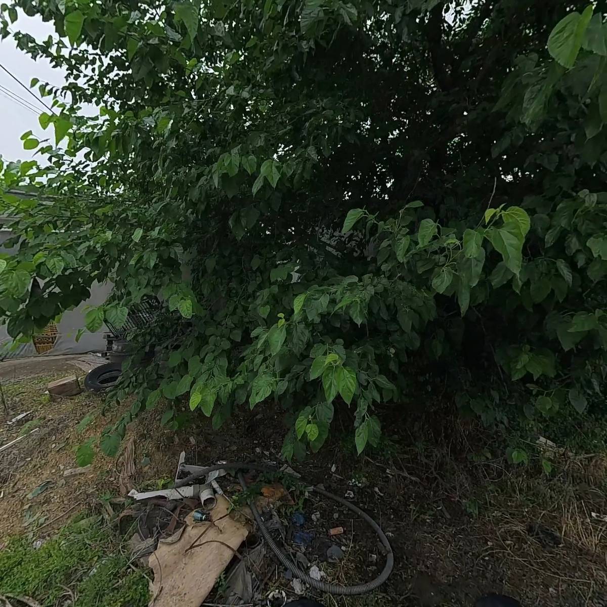 고려포장_3