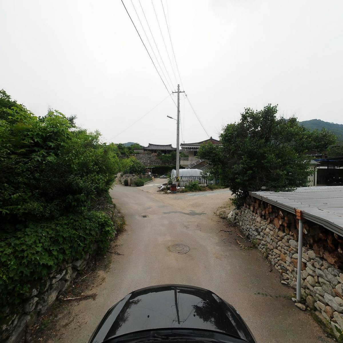 황솔_4