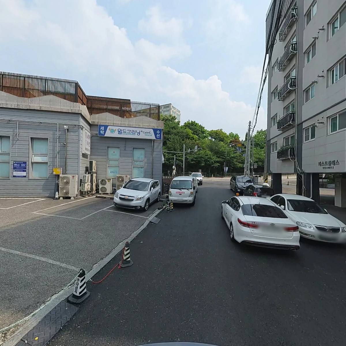 영스카(YOUNGSKA)_2