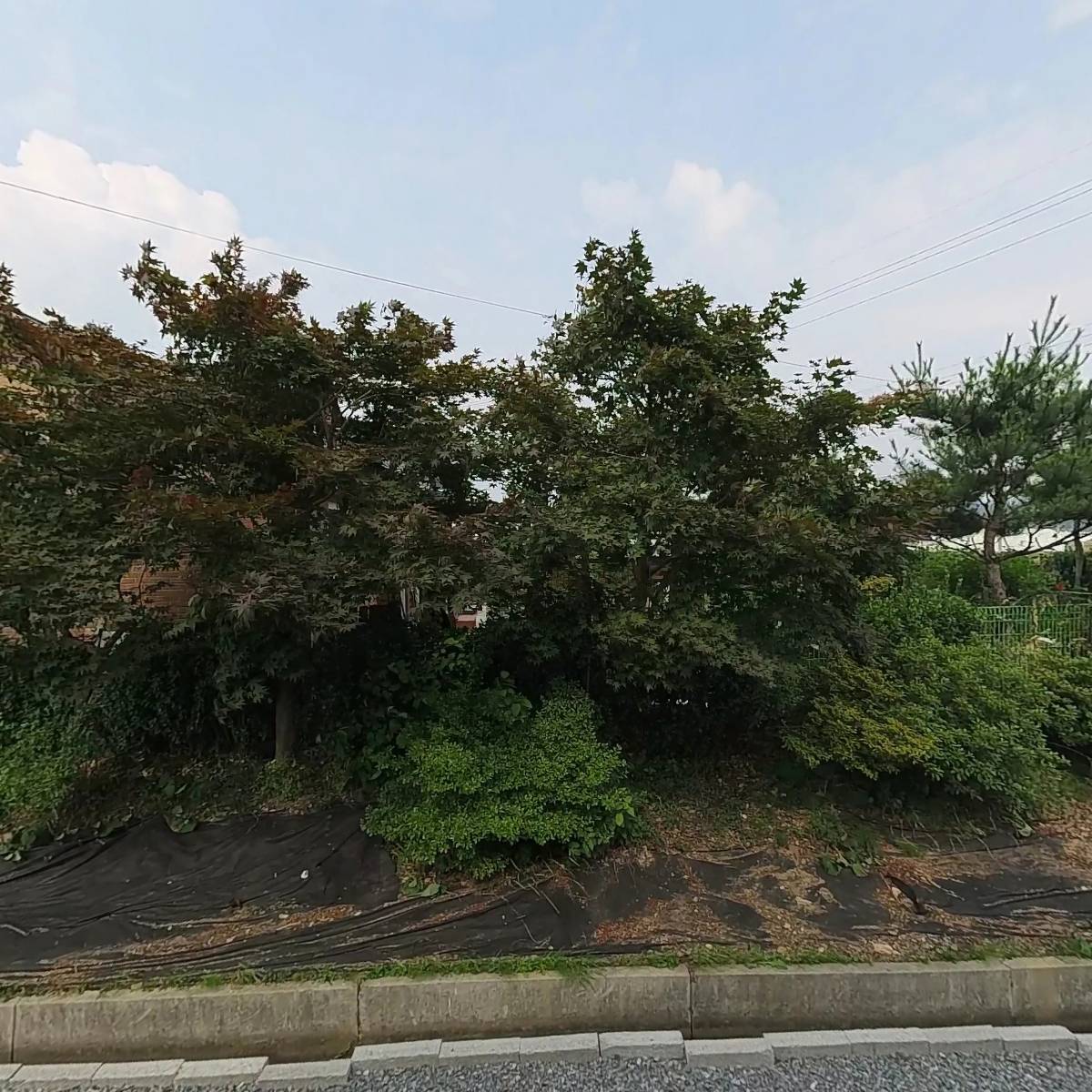 주식회사 세미글로벌즈