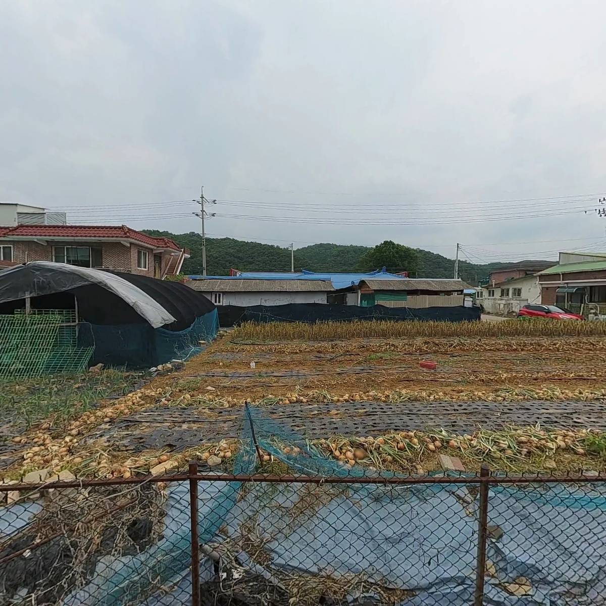 파주금순이네맛집_3