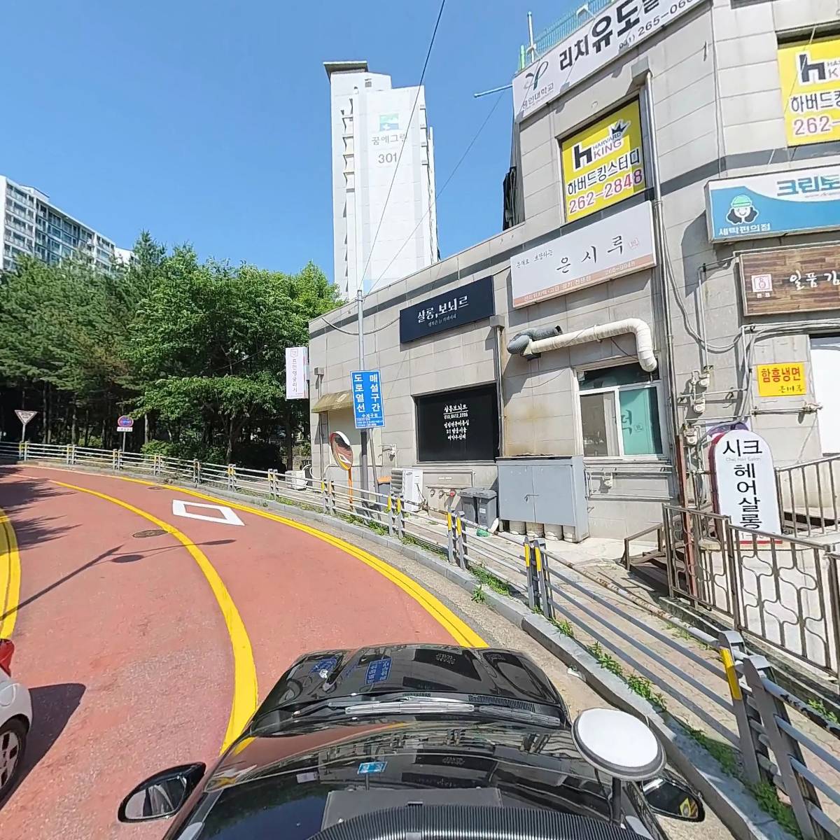 하버드킹_4