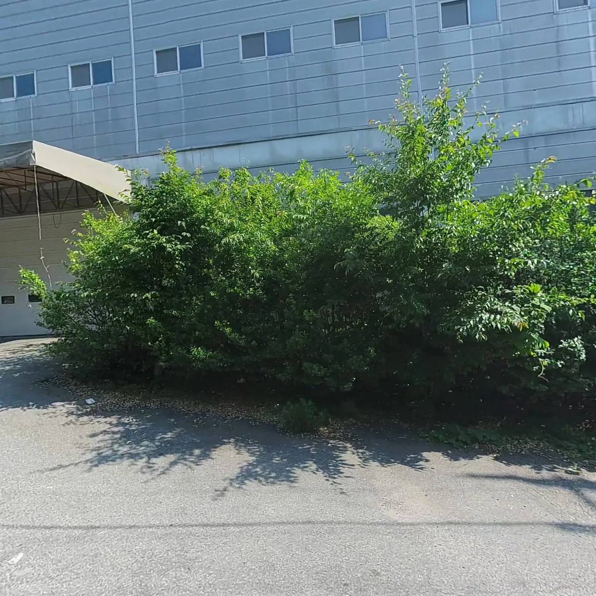 세븐브로이이즈 주식회사 용인지점