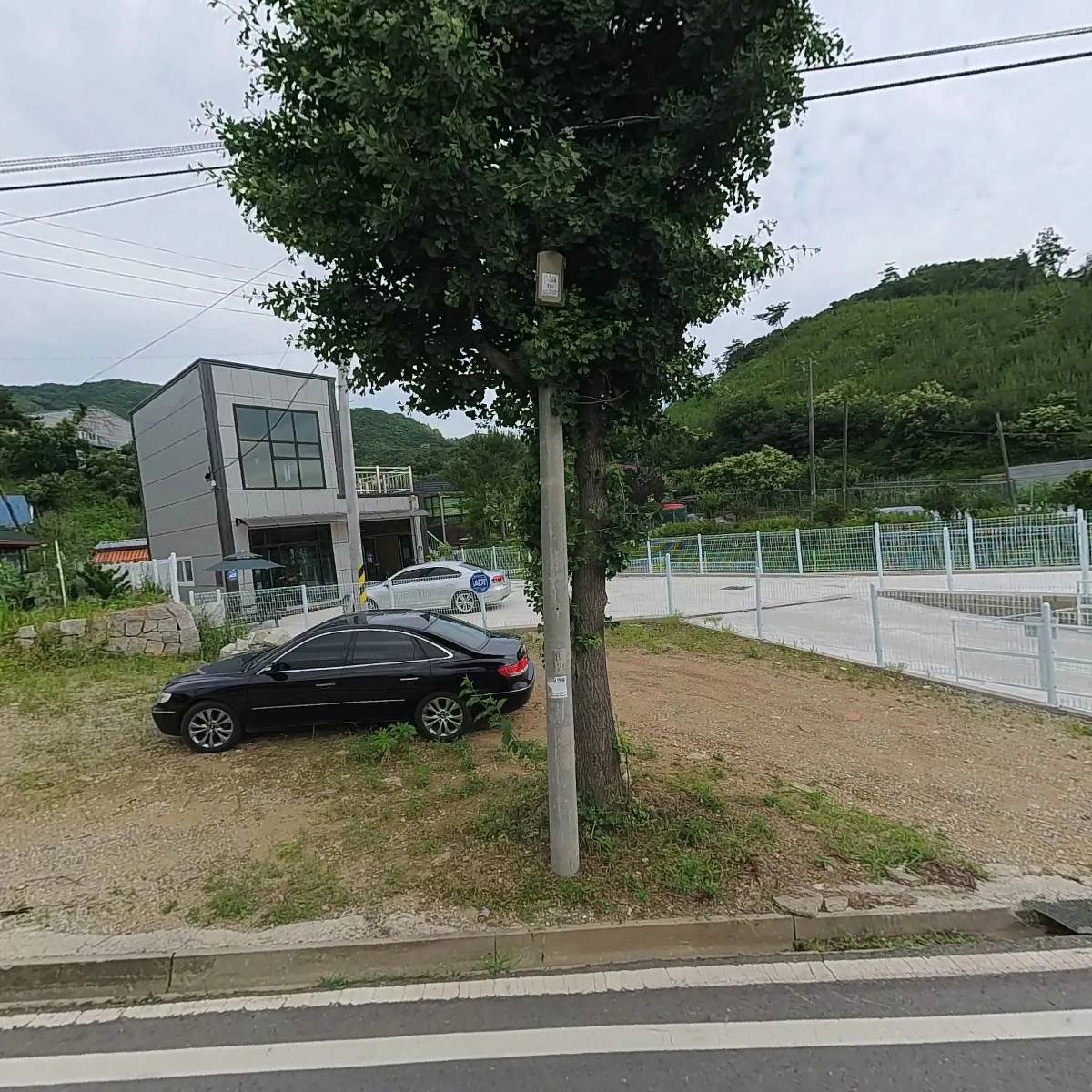 모아모아