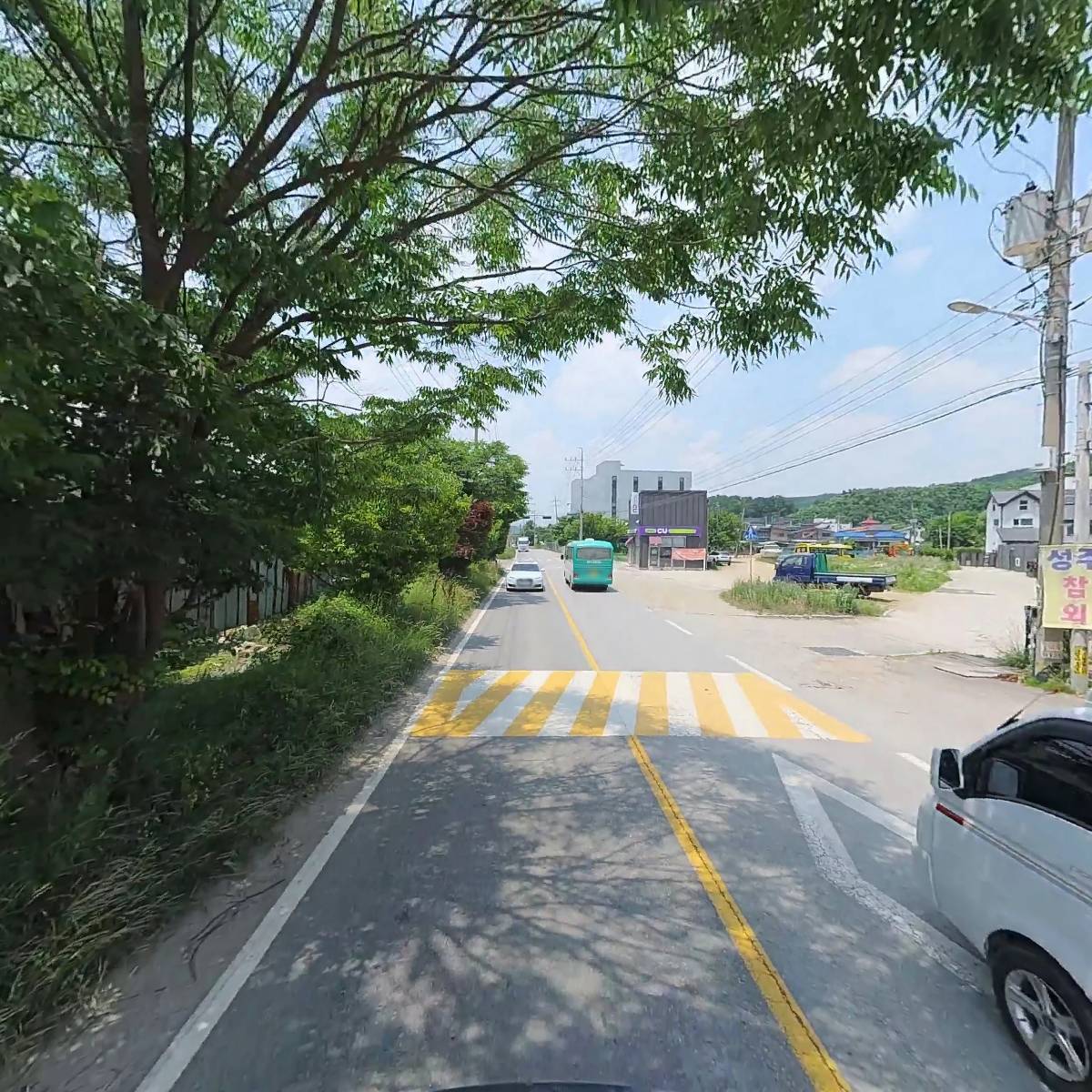 무지개청과_2