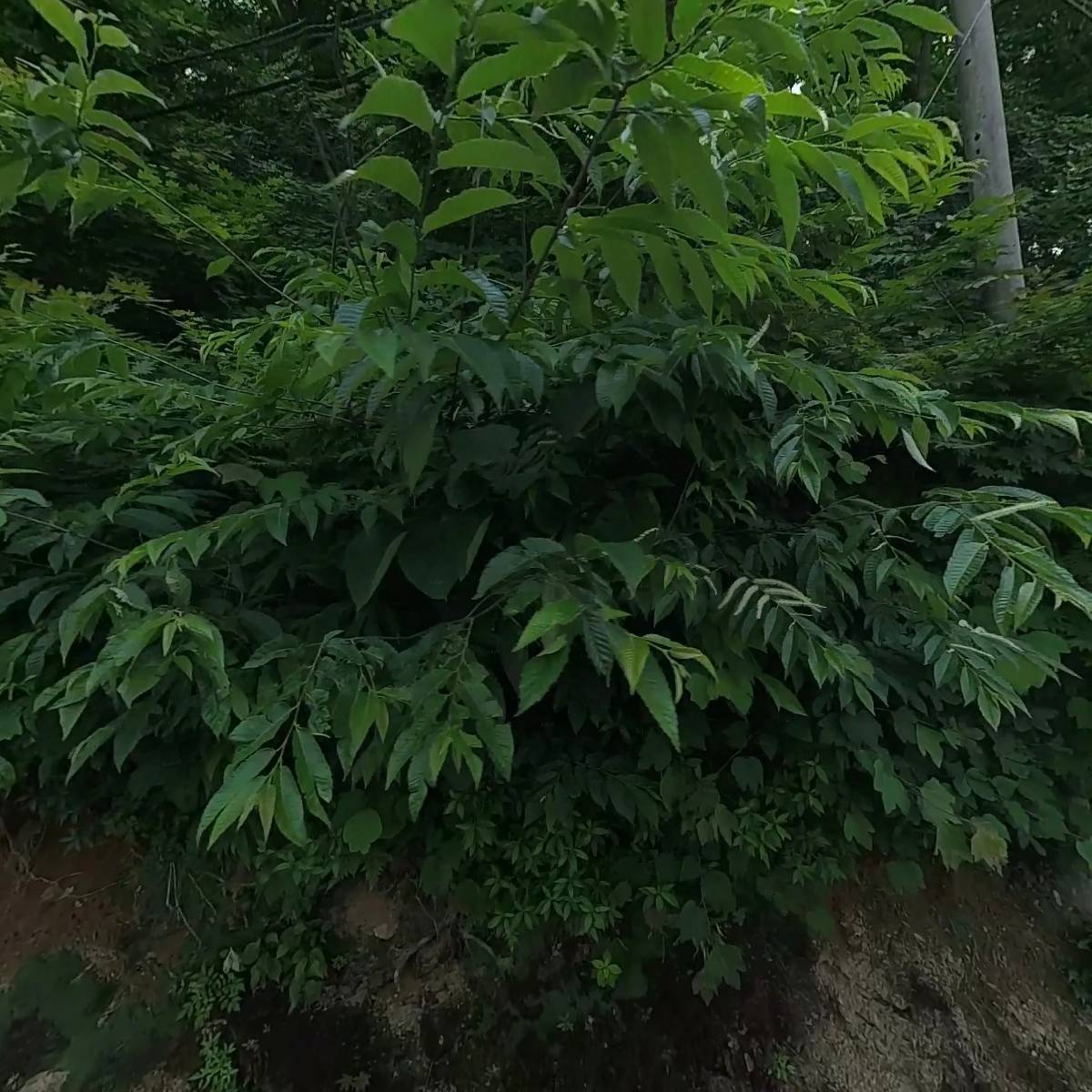 (주) 씨티케이