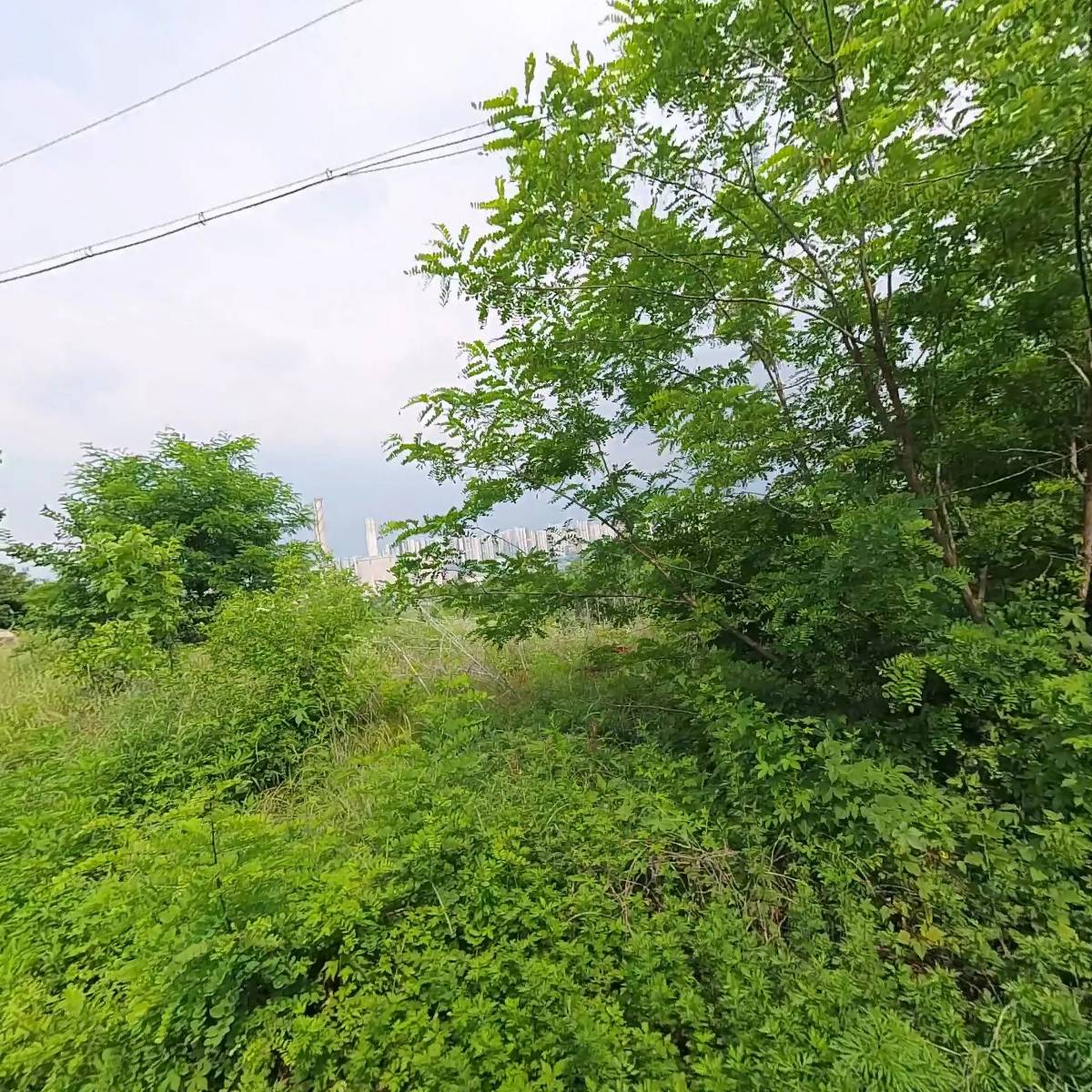 파주교하연다산45