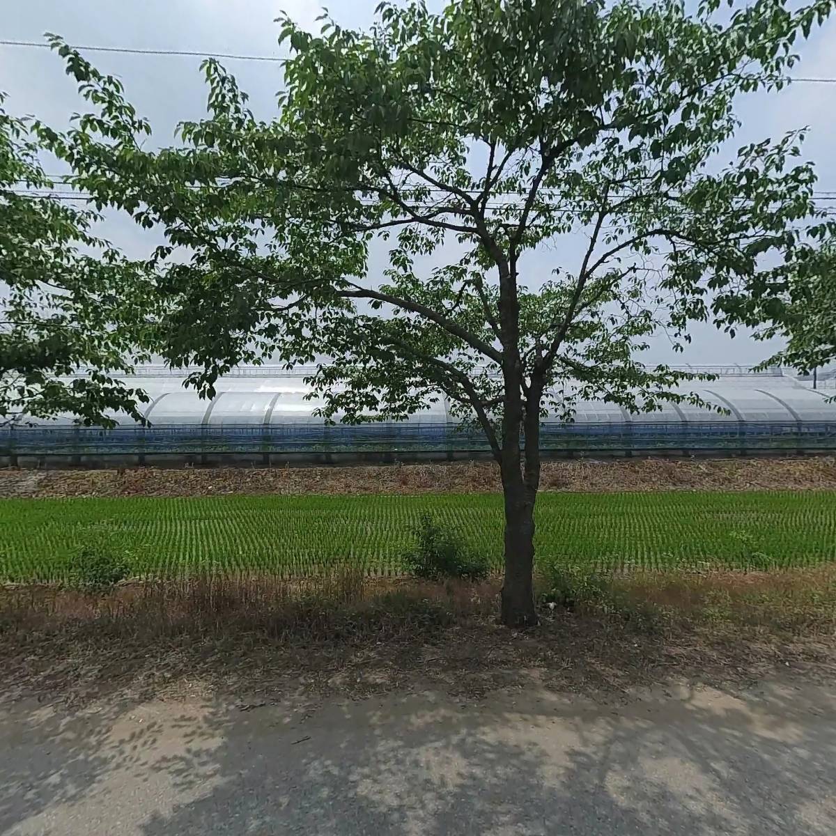 남사원예문화예술연구회