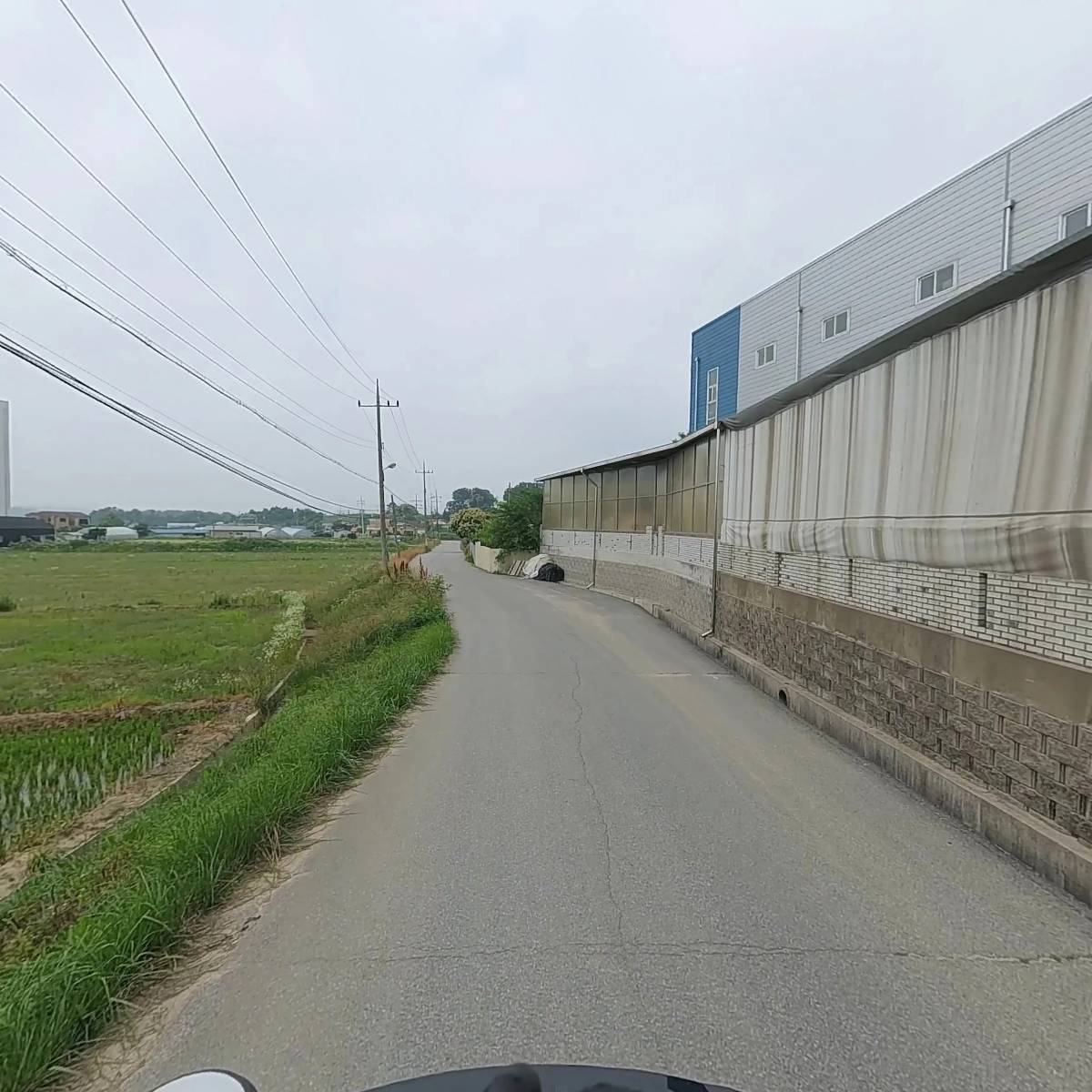 틔움_2