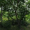 코아스템켐온 (주) 용인지점