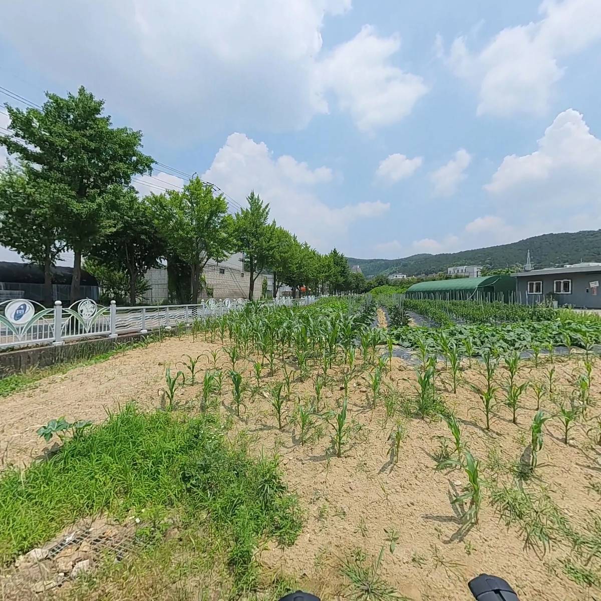 신판교자동차운전학원_3