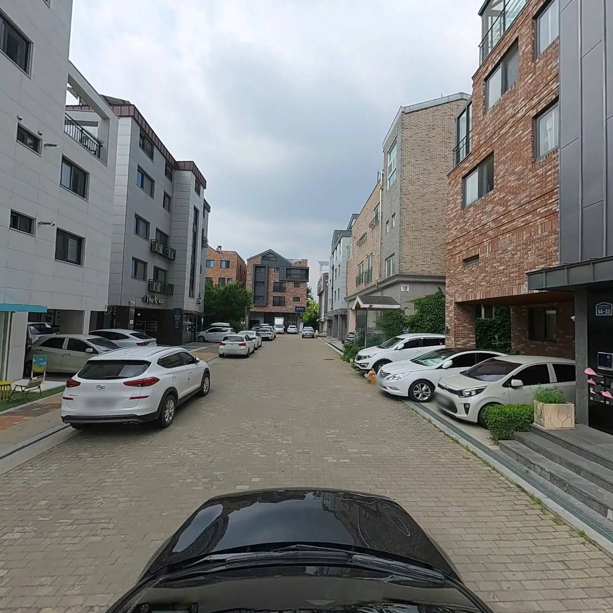 네스티 타르트(NESTY TART)_4