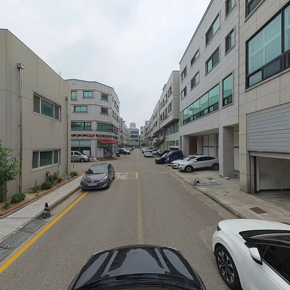 디스_4