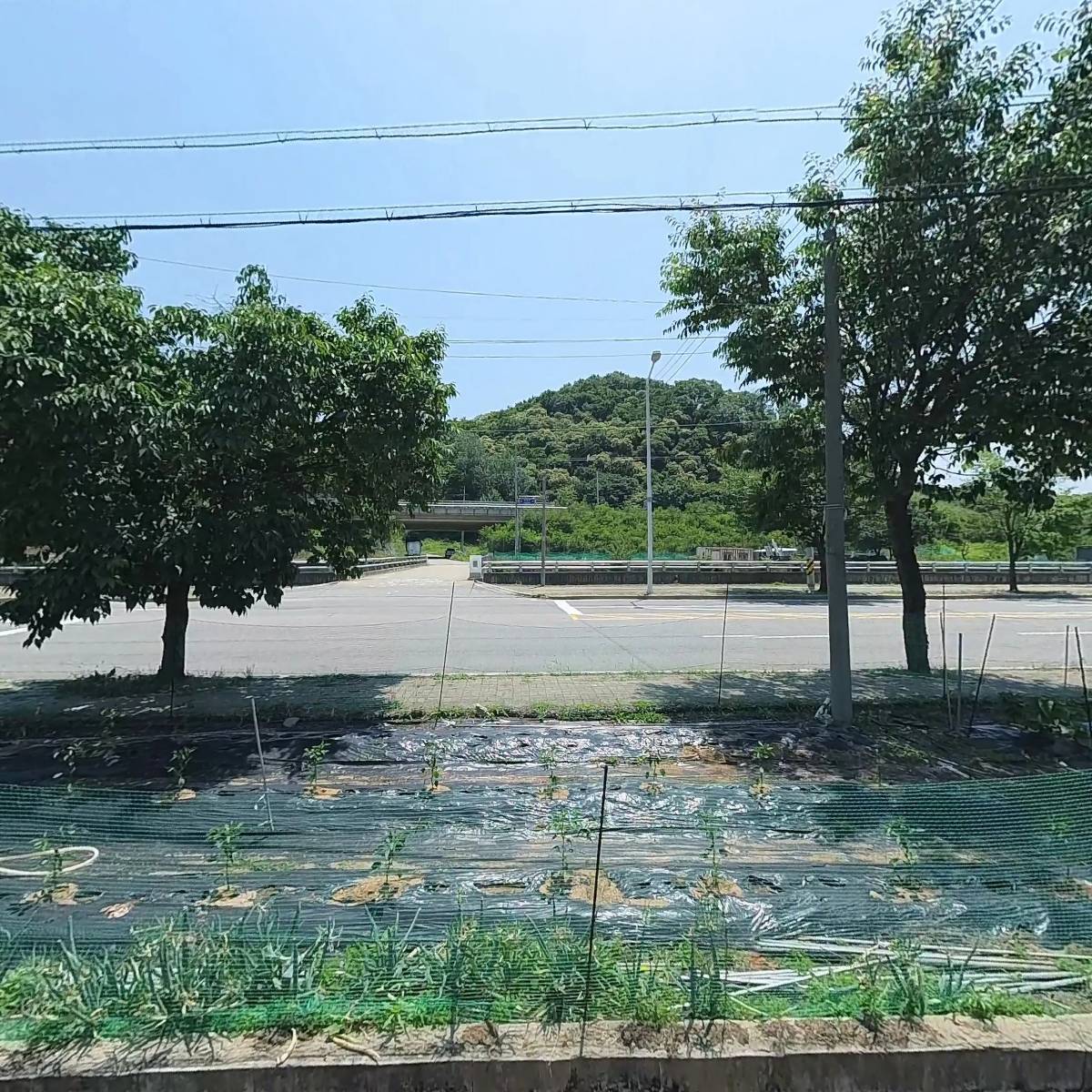 월계단_3