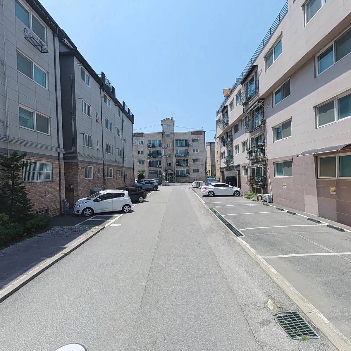 슈림프_2