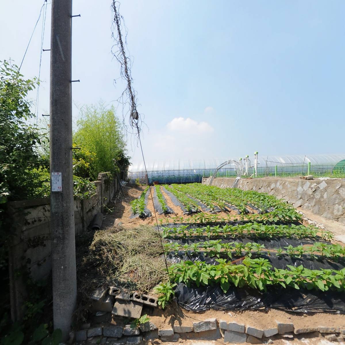 세신특수운수