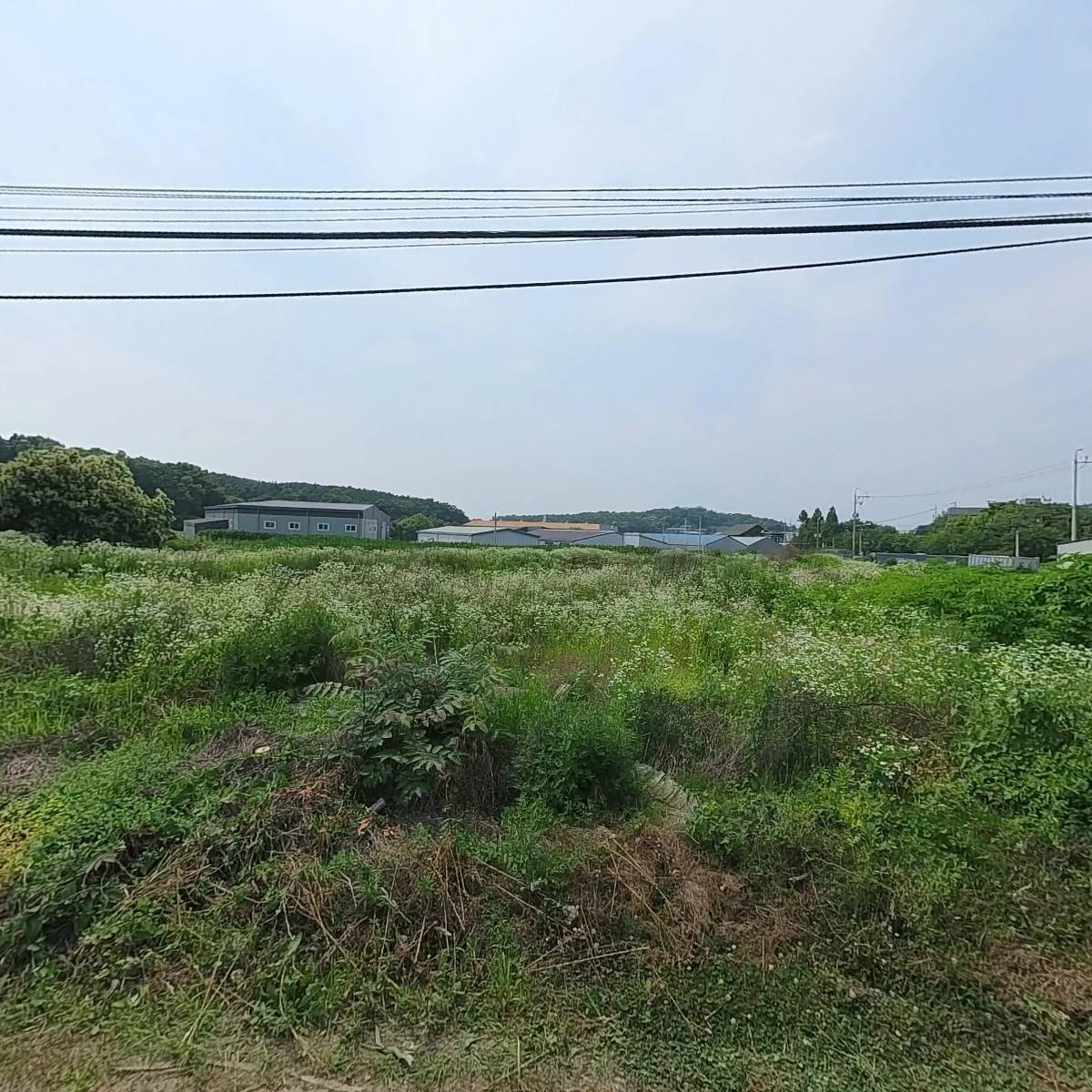 JJ스프레인_3