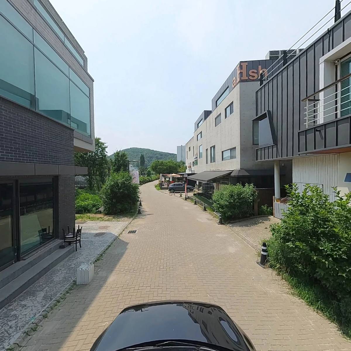 꽃나들이_4