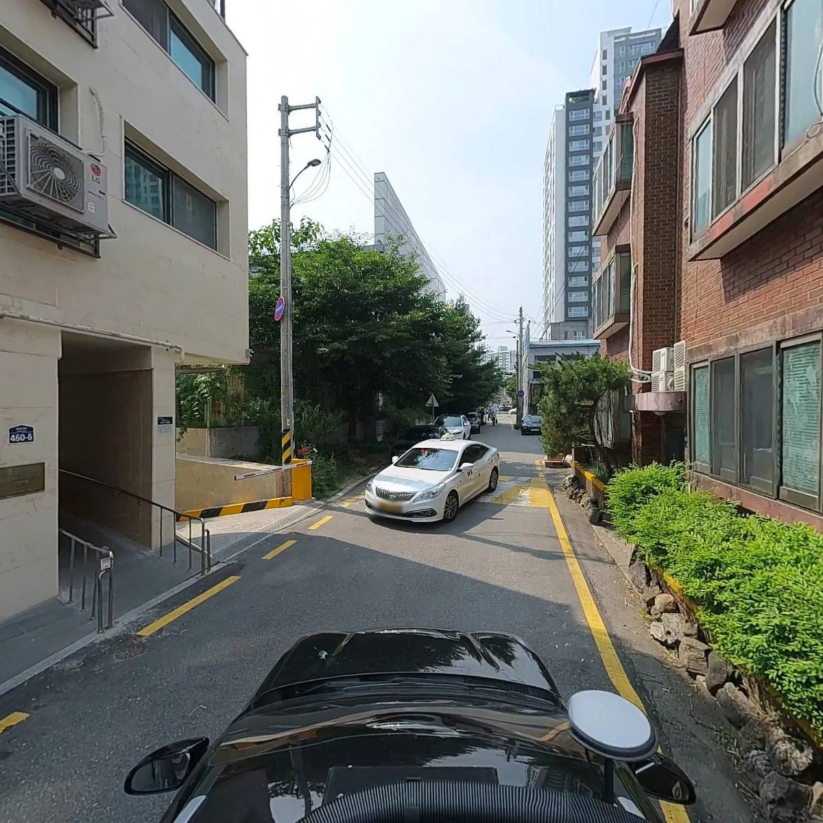 에이펙스(Apex)_4