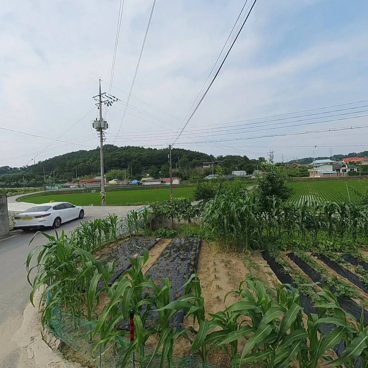 백광전기(주)_3