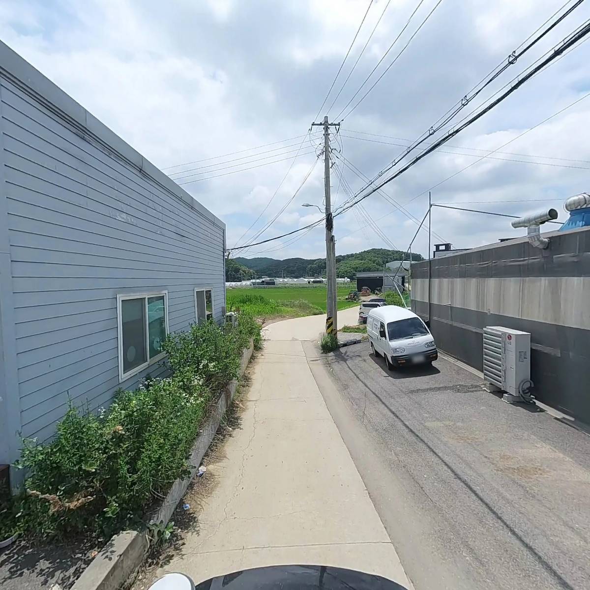 해바라기 도시락_2